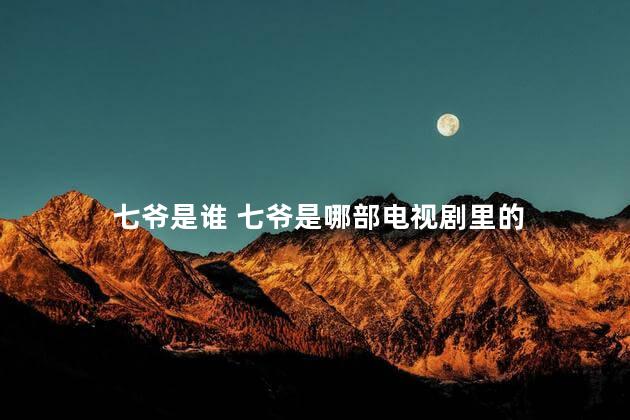 七爷是谁 七爷是哪部电视剧里的